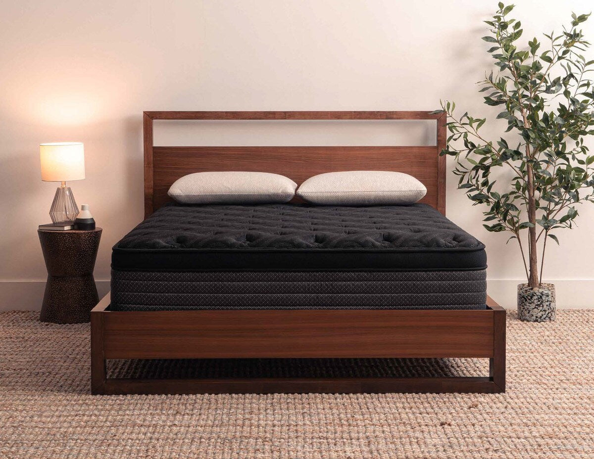 Crazy Low Price - Mustang Euro Top 14.5 inch Hybrid Mattress - Medium Feel