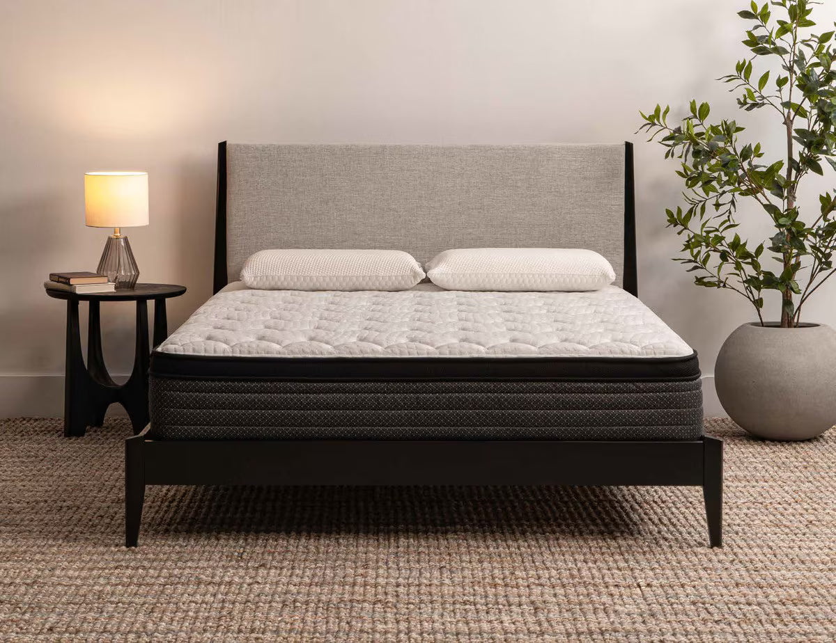Crazy Low Price - Squire Euro Top 11.75 inch Hybrid Mattress - Medium Feel - Individual Pocket Coils